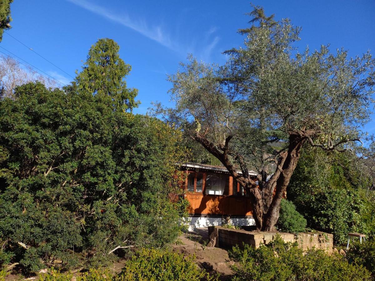 Parco Delle Streghe Villa Scarlino Bagian luar foto