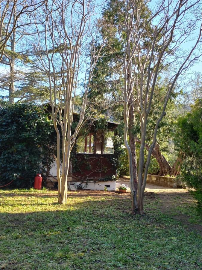 Parco Delle Streghe Villa Scarlino Bagian luar foto